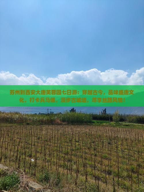 苏州到西安大唐芙蓉园七日游