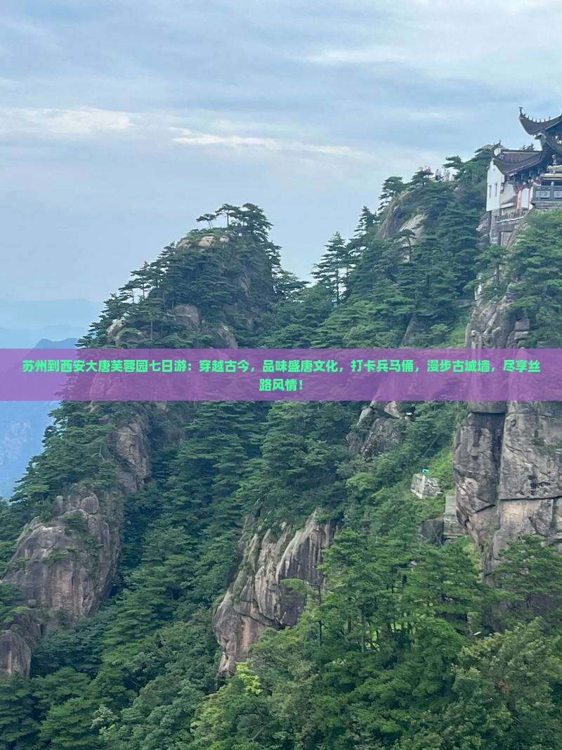 苏州到西安大唐芙蓉园七日游