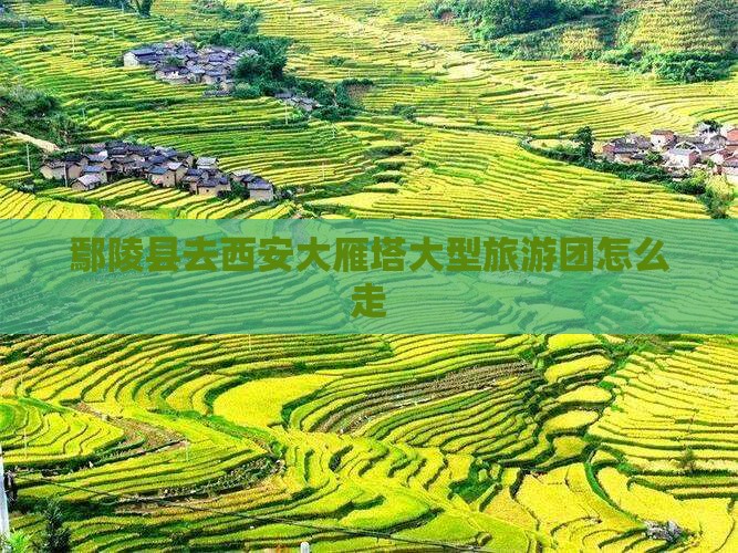 鄢陵县去西安大雁塔大型旅游团