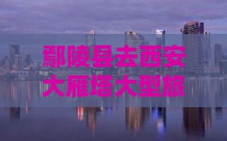 鄢陵县去西安大雁塔大型旅游团