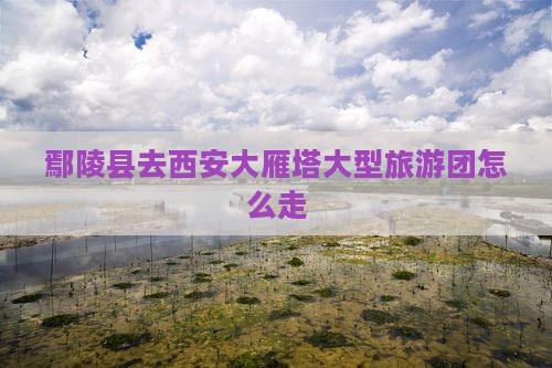 鄢陵县去西安大雁塔大型旅游团