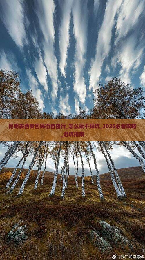 昆明去西安回民街自由行