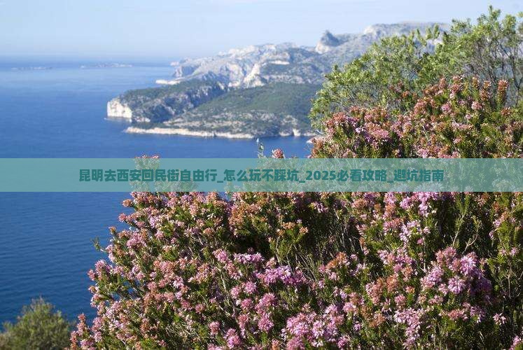昆明去西安回民街自由行