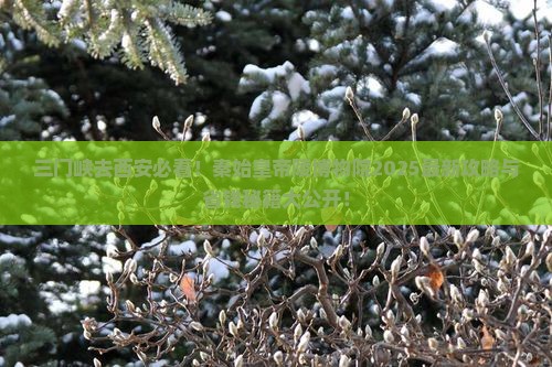 三门峡去西安秦始皇帝陵博物院景点
