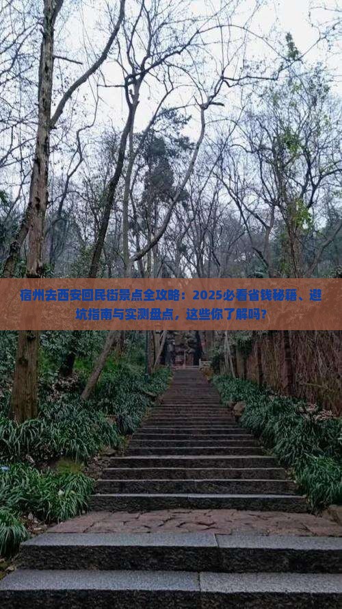 宿州去西安回民街景点