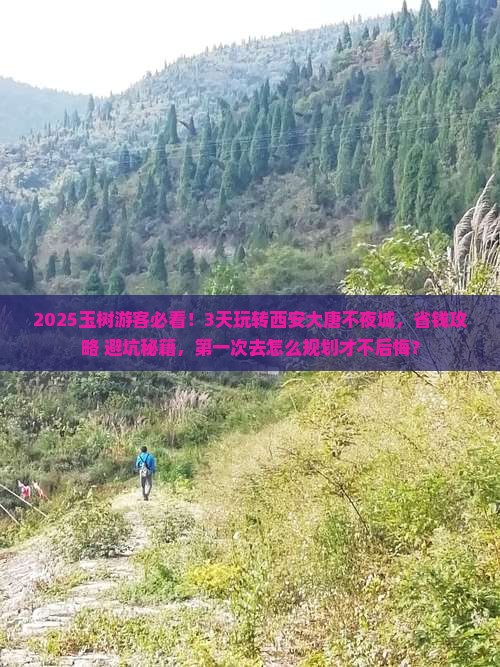 玉树到西安大唐不夜城四日游