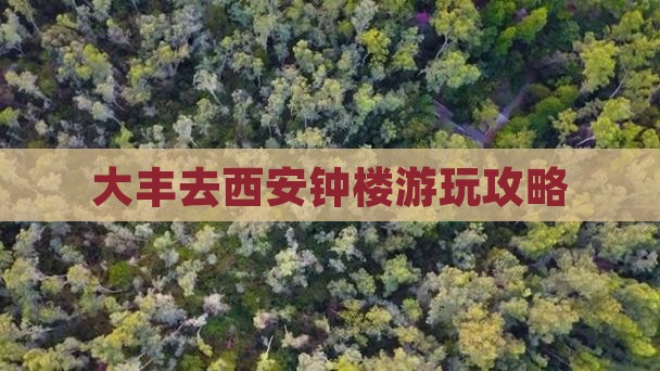 大丰去西安钟楼哪里玩