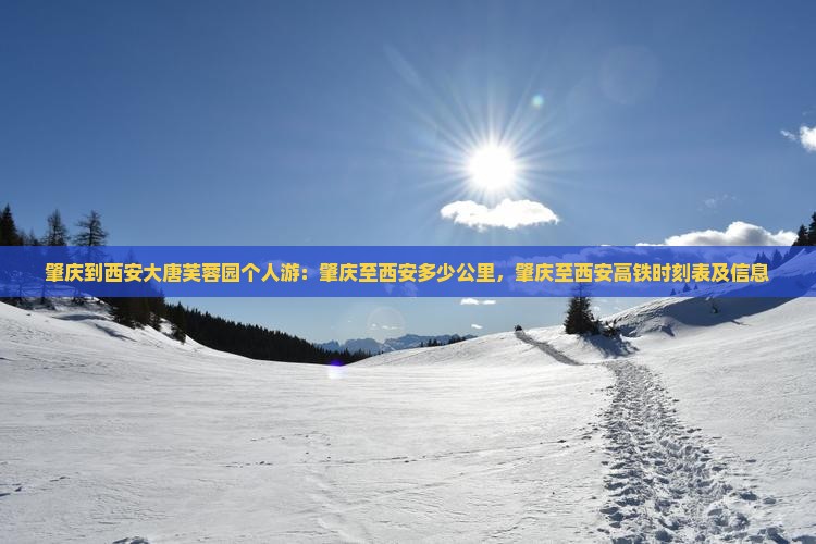 肇庆到西安大唐芙蓉园个人游