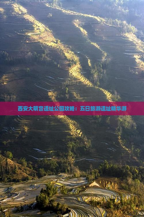 拉萨去西安大明宫国家遗址公园五日游