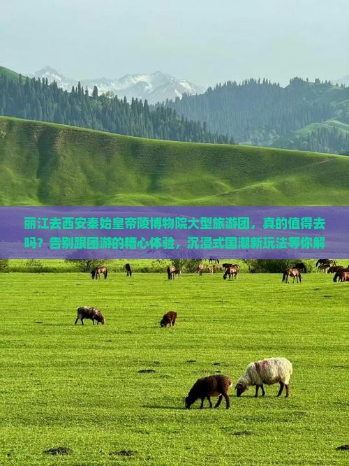 丽江去西安秦始皇帝陵博物院大型旅游团