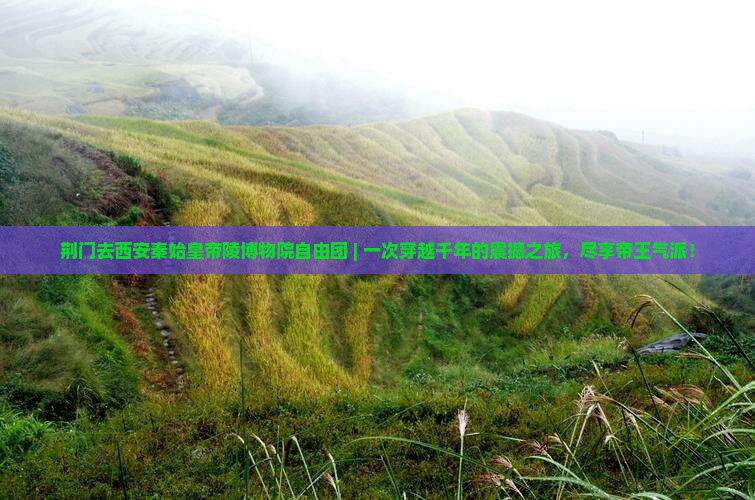 荆门去西安秦始皇帝陵博物院自由团 荆门去西安秦始皇帝陵博物院自由团