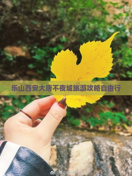 乐山去西安大唐不夜城自由行