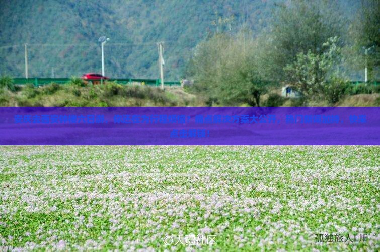 安庆去西安钟楼六日游