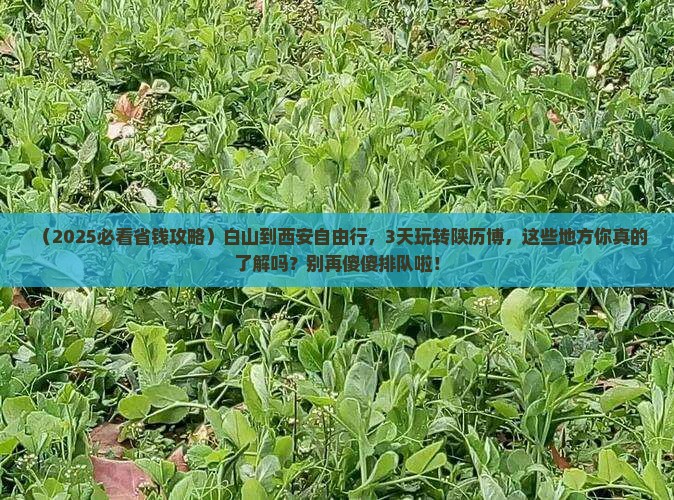 白山到西安陕西历史博物馆自由行