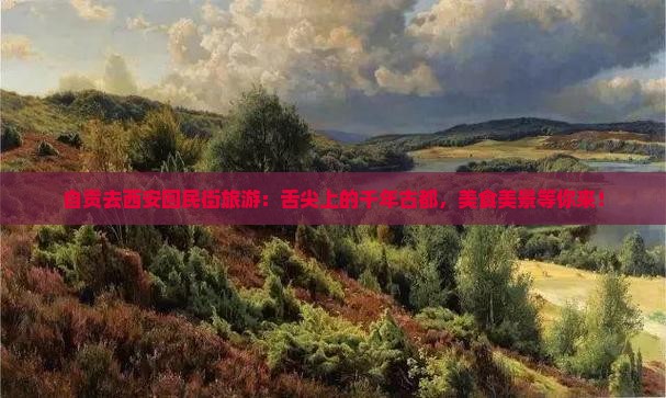 自贡去西安回民街旅游
