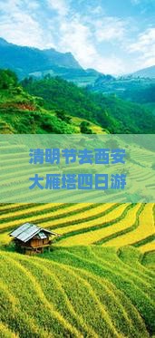 清明节去西安大雁塔四日游