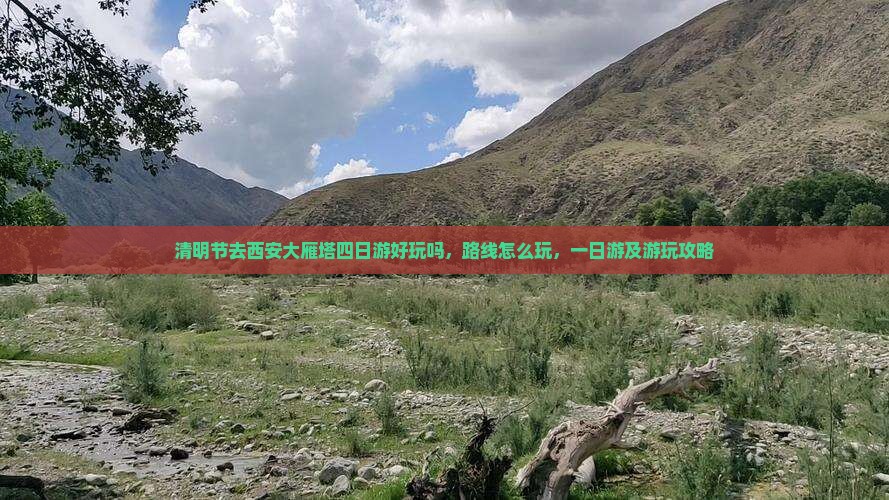 清明节去西安大雁塔四日游