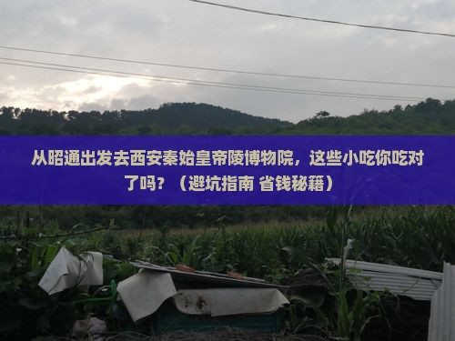 昭通去西安秦始皇帝陵博物院旅游小吃