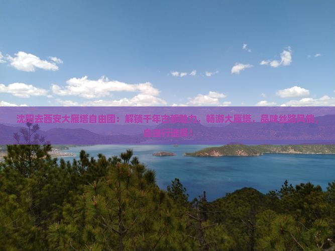 沈阳去西安大雁塔自由团