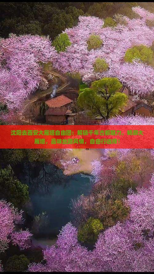 沈阳去西安大雁塔自由团