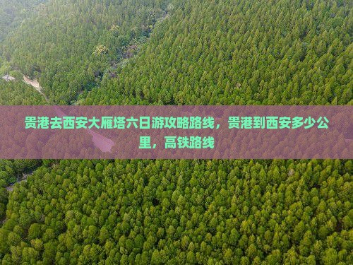 贵港去西安大雁塔六日游