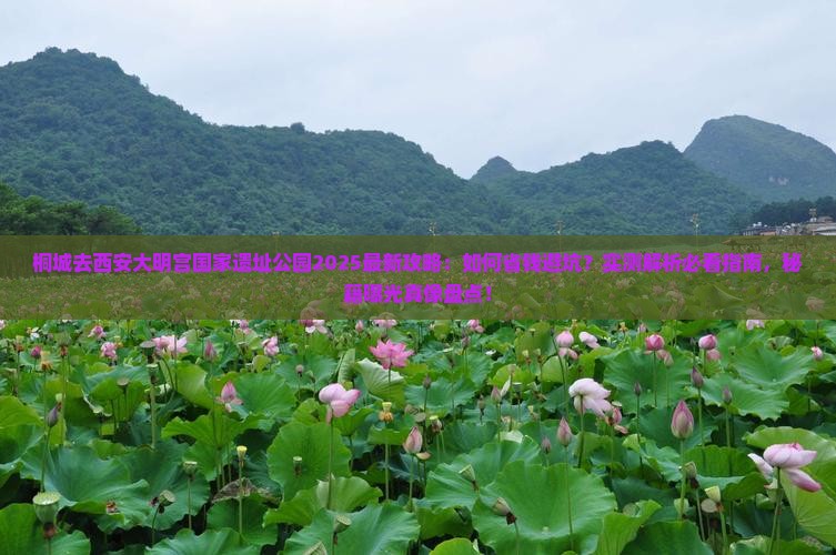 桐城去西安大明宫国家遗址公园攻略