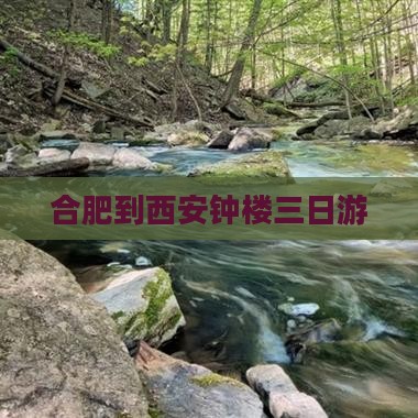 合肥到西安钟楼三日游