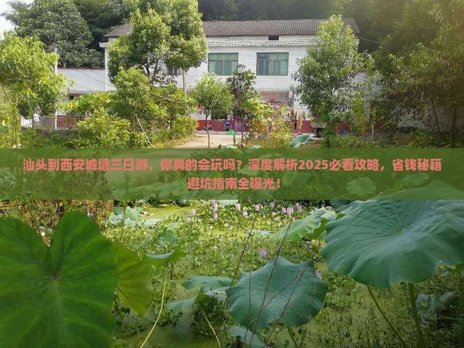 汕头到西安城墙三日游