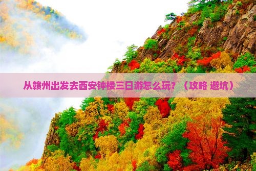 赣州去西安钟楼三日游