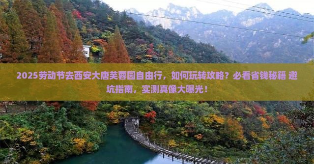 劳动节到西安大唐芙蓉园自由行