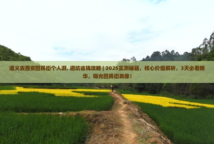 遵义去西安回民街个人游