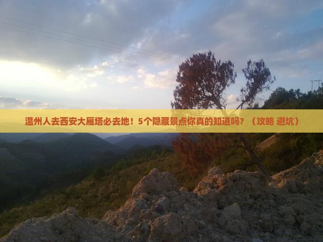 温州去西安大雁塔必去地