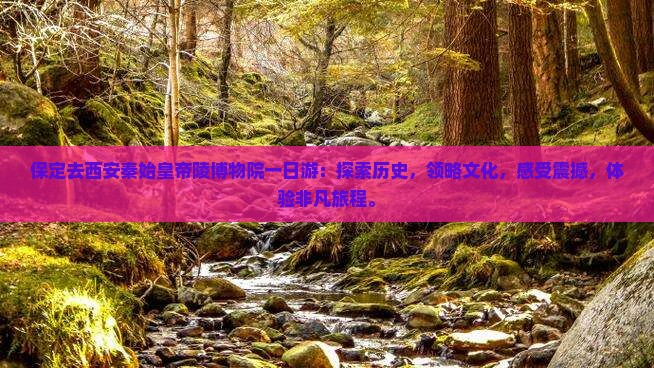 保定去西安秦始皇帝陵博物院一日游