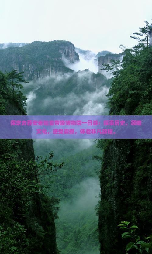 保定去西安秦始皇帝陵博物院一日游