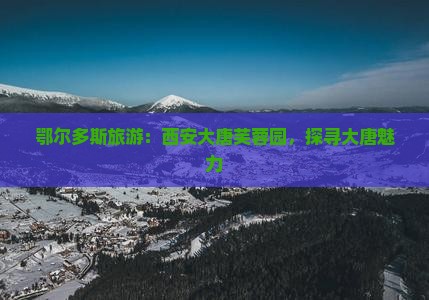 鄂尔多斯到西安大唐芙蓉园景点
