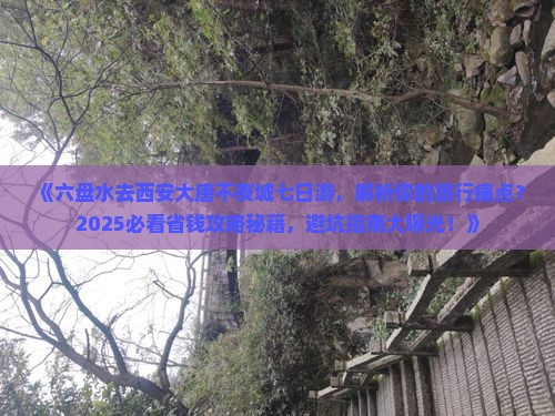 六盘水去西安大唐不夜城七日游