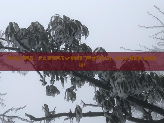 中山到西安陕西历史博物馆门票