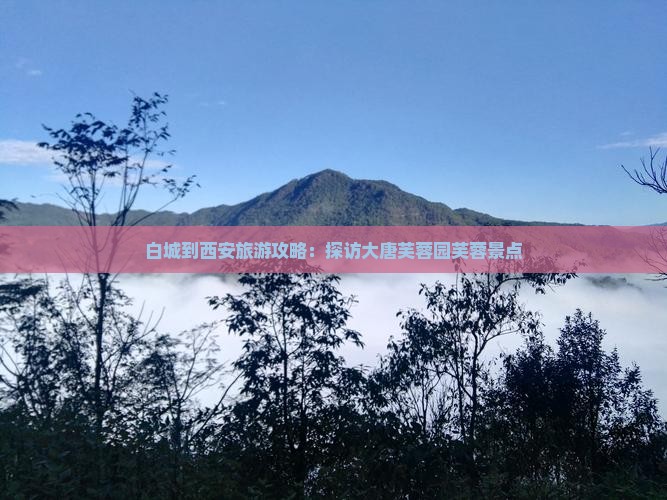 白城到西安大唐芙蓉园景点