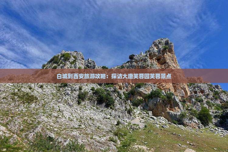 白城到西安大唐芙蓉园景点