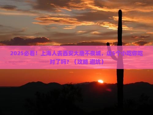 上海去西安大唐不夜城旅游小吃