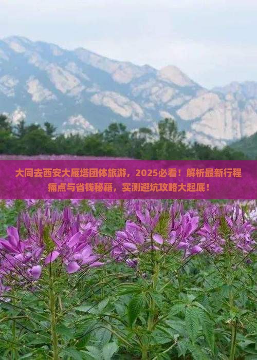 大同去西安大雁塔团体旅游