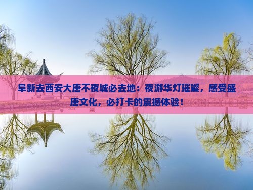 阜新去西安大唐不夜城必去地