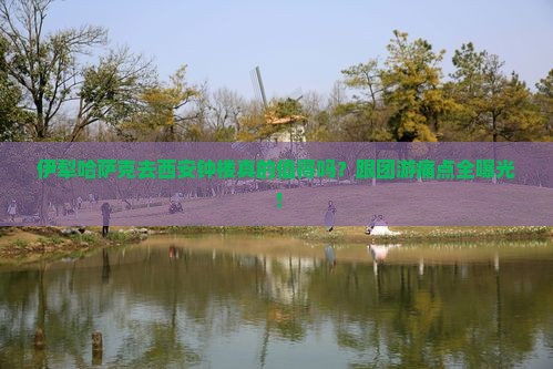 伊犁哈萨克去西安钟楼大型旅游团