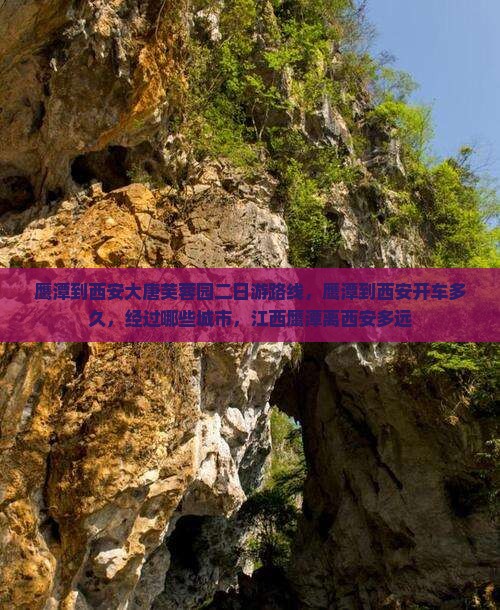 鹰潭到西安大唐芙蓉园二日游