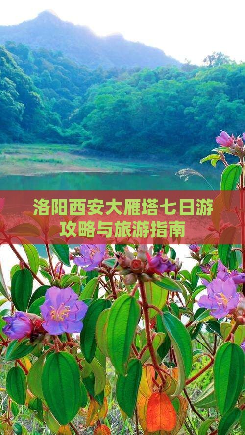 洛阳去西安大雁塔七日游