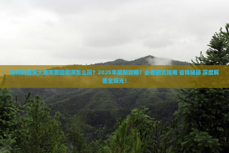 池州到西安大唐芙蓉园旅游