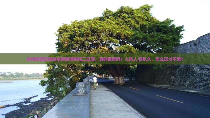 柳州到西安秦始皇帝陵博物院二日游