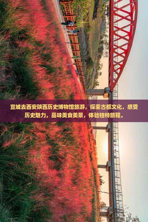宣城去西安陕西历史博物馆旅游