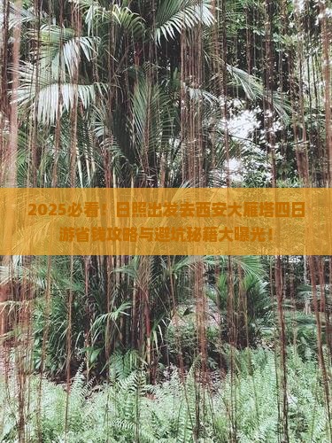 日照去西安大雁塔四日游