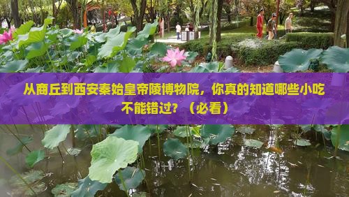 商丘到西安秦始皇帝陵博物院旅游小吃